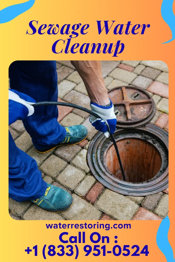 Sewage Water Cleanup in Secor, IL
