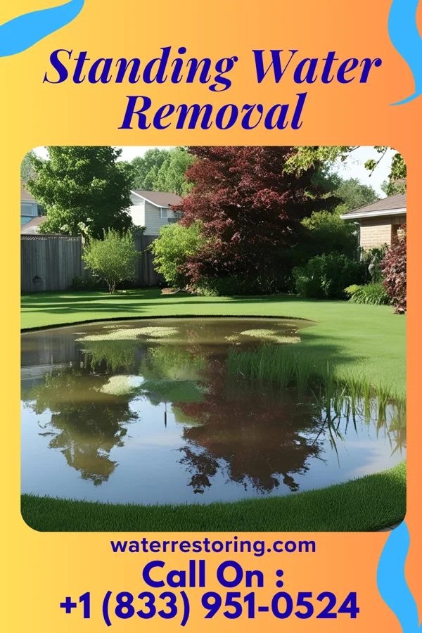 Standing Water Removal in Secor, IL